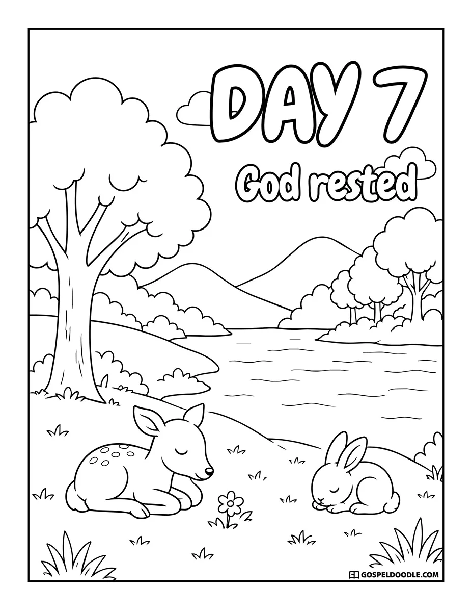 Creation: Day 7